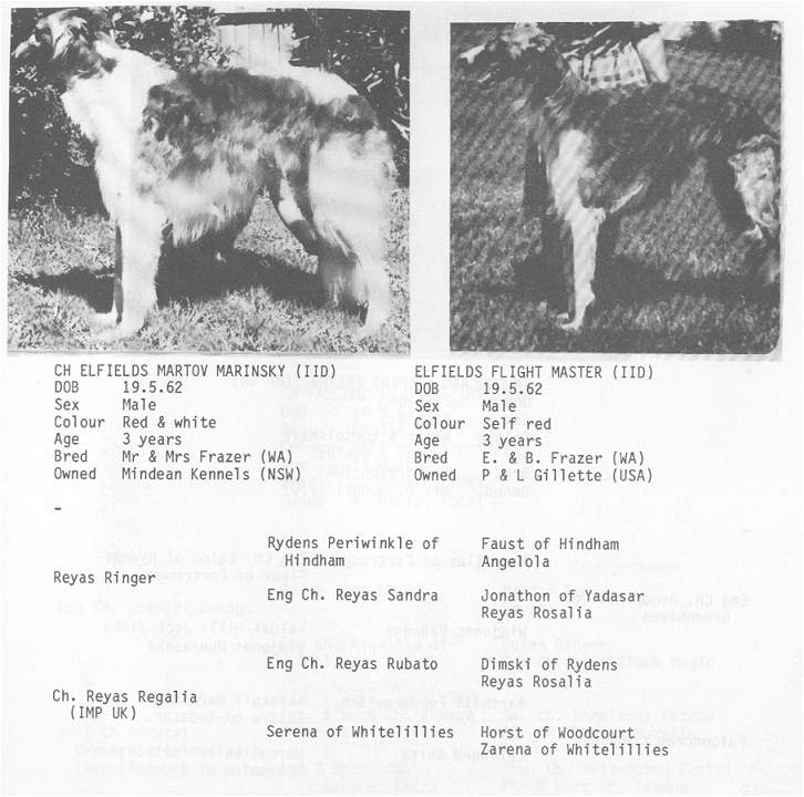 Elfield's Flight Master, CD from Australian pedigree book